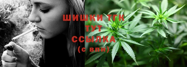 стаф Бронницы