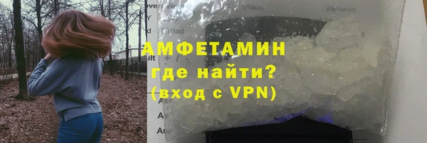 шишки Бородино