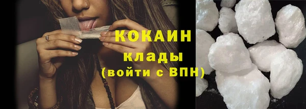 шишки Бородино