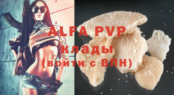шишки Бородино