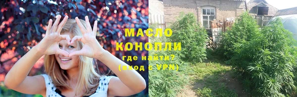 шишки Бородино