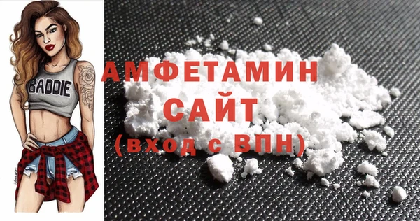 шишки Бородино