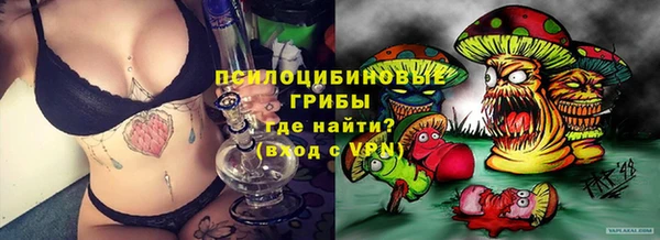 стаф Бронницы