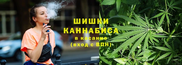 шишки Бородино