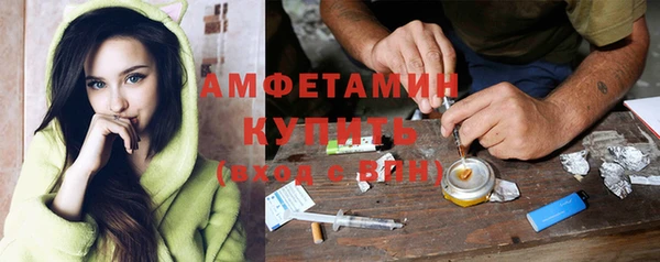шишки Бородино