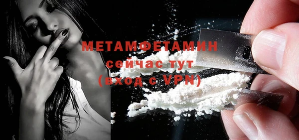 шишки Бородино