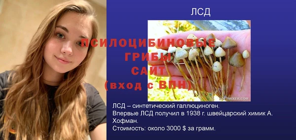 ГАЛЛЮЦИНОГЕННЫЕ ГРИБЫ Бугульма