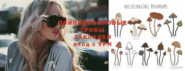 стаф Бронницы